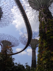 Supertree skywalk in Gardens by the Bay